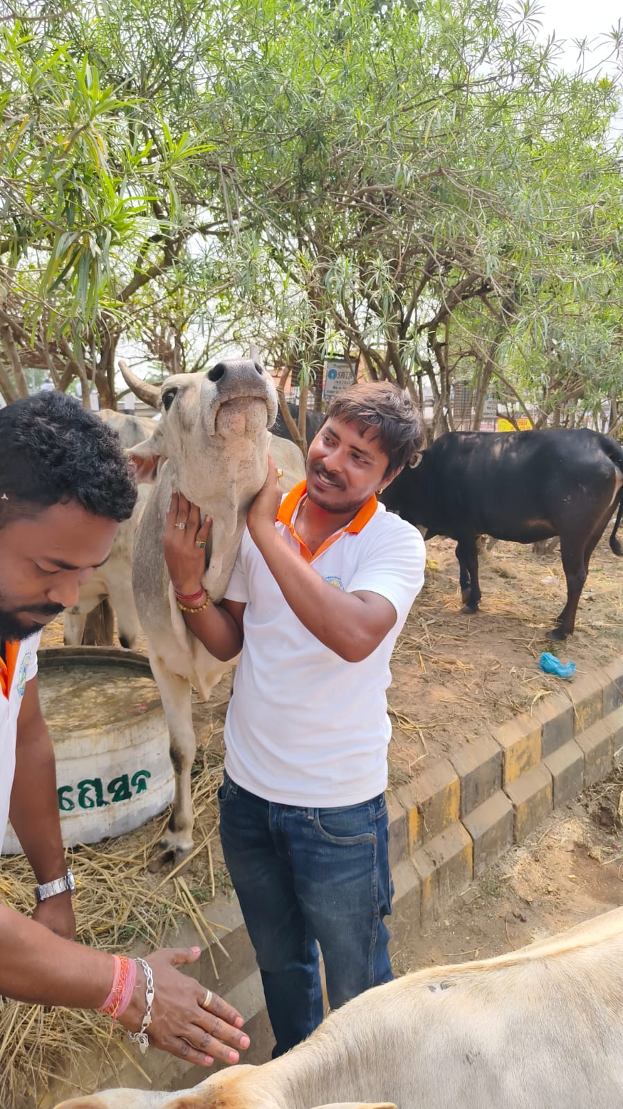 Gau Seva & Prani Seva