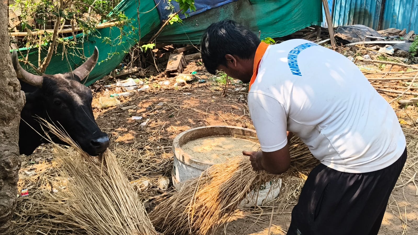 Community Welfare & Social Service
